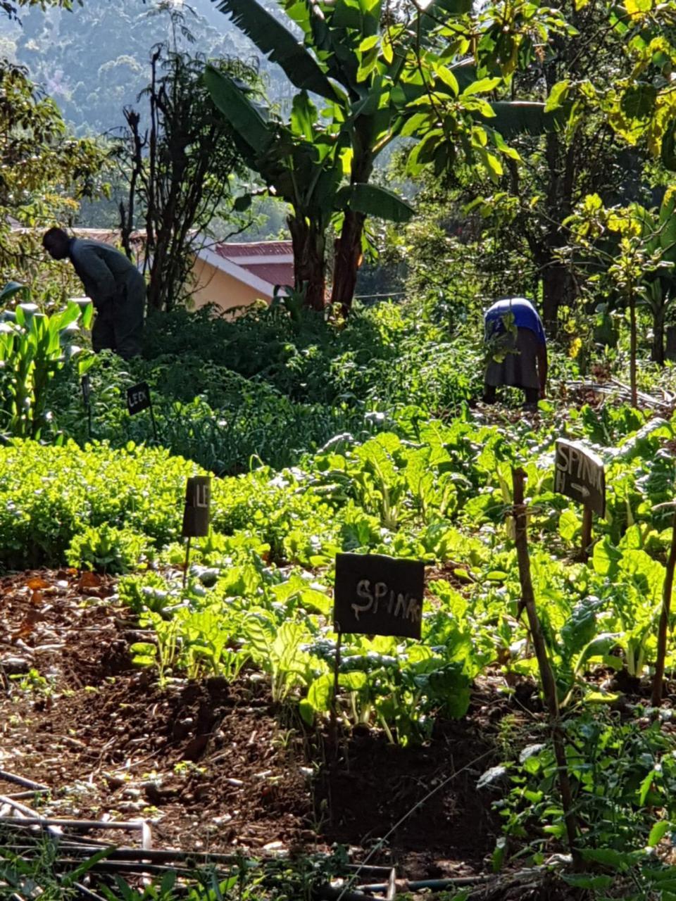 Karen Little Paradise Nairobi Zewnętrze zdjęcie